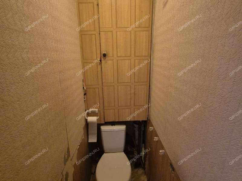 двухкомнатная квартира на Центральной улице дом 61 посёлок Селекционной станции