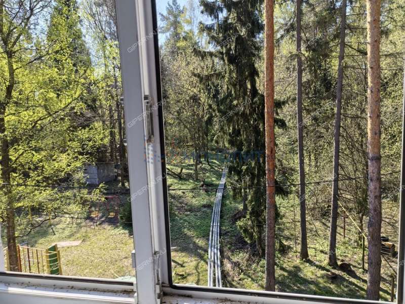 двухкомнатная квартира на Санаторий Нижегородский поселок дом 3 Зеленый Город кп