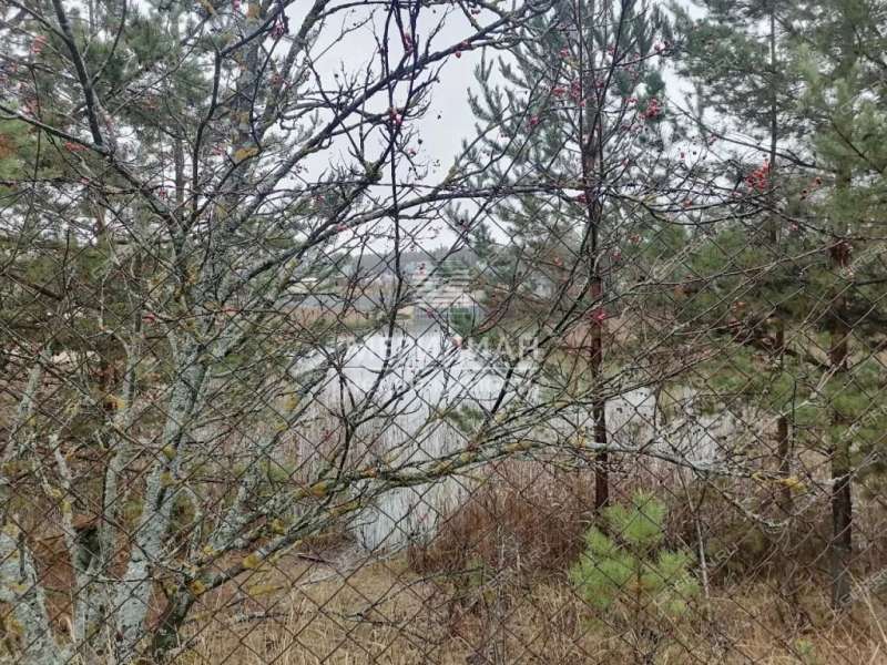 земельный участок 11 соток СНТ Черемушки