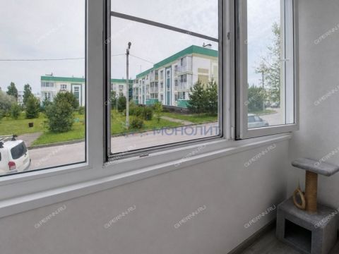 1-komnatnaya-gorod-nizhniy-novgorod-bogorodskiy-municipalnyy-okrug фото