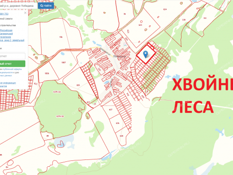 derevnya-pobediha-bogorodskiy-municipalnyy-okrug фото