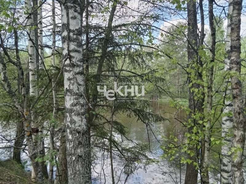 земельный участок 63 сотки деревня Дубрава