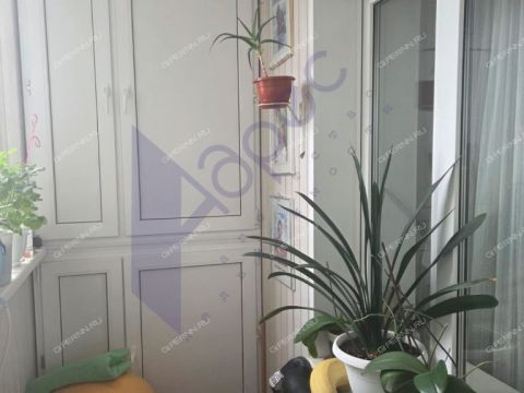 1-komnatnaya-b-r-meshherskiy-d-5a фото