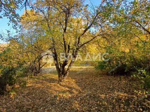 dom-derevnya-chechenino-kstovskiy-rayon фото