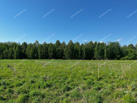 derevnya-gumnishhi-balahninskiy-municipalnyy-okrug фото