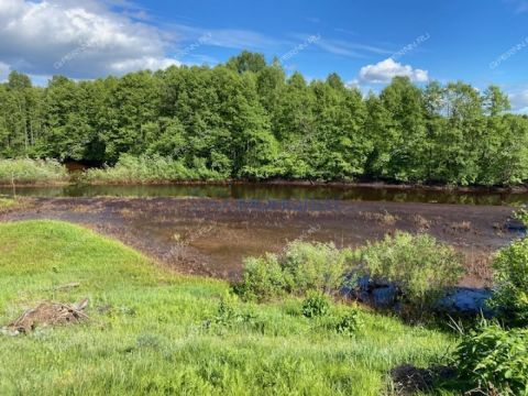dom-selo-selskaya-maza-lyskovskiy-municipalnyy-okrug фото