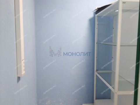 derevnya-afonino-kstovskiy-rayon фото