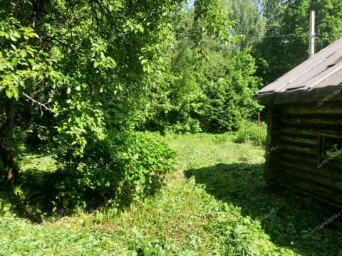 dacha-derevnya-shumilovo-bogorodskiy-municipalnyy-okrug фото