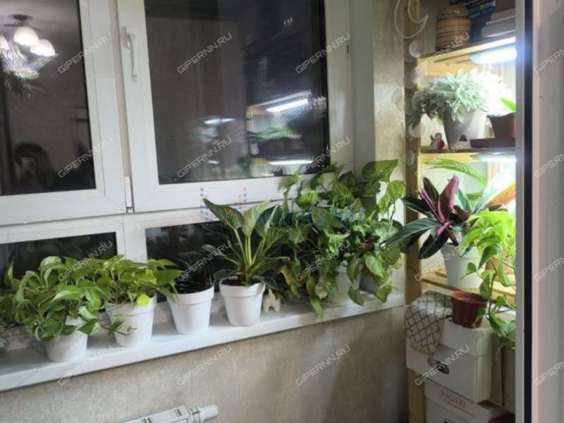 однокомнатная квартира на улице Мечтателей дом 2