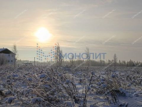 derevnya-burcevo-bogorodskiy-municipalnyy-okrug фото