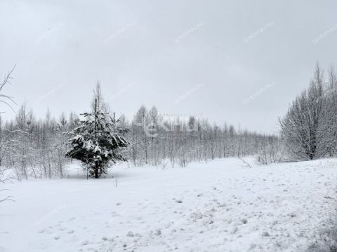 selo-bezvodnoe-kstovskiy-rayon фото