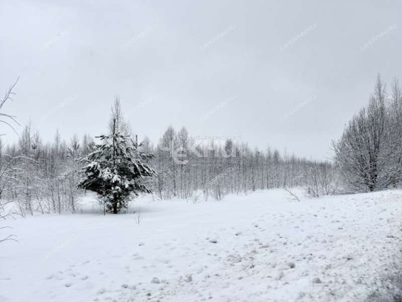земельный участок 540 соток село Безводное
