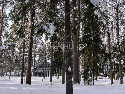 dom-derevnya-lindo-usad-gorodskoy-okrug-bor фото