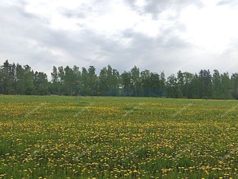 dom-derevnya-bugry-dalnekonstantinovskiy-rayon фото