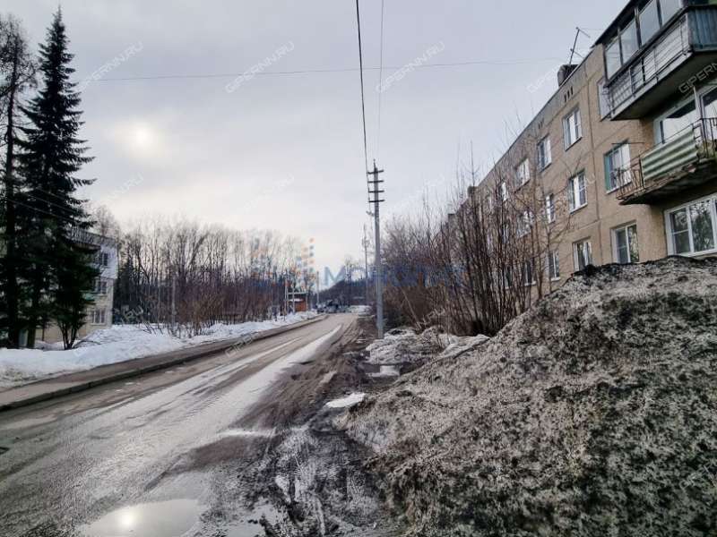 четырёхкомнатная квартира на - дом 40 сельский посёлок Селекционной Станции