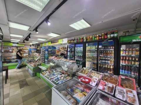 sh-ankudinovskoe-d-13a фото