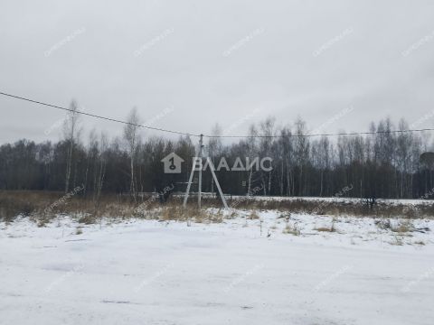 selo-bezvodnoe-kstovskiy-rayon фото