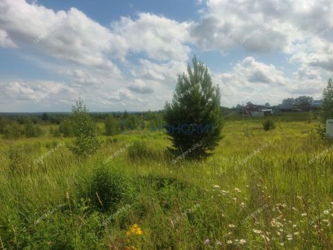 selo-efimevo-bogorodskiy-municipalnyy-okrug фото