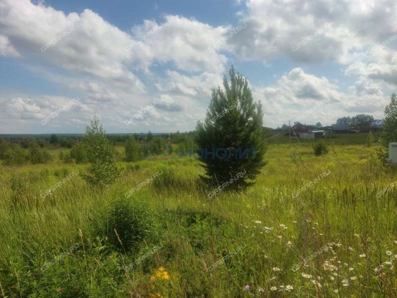 земельный участок 10 соток Ясная улица село Ефимьево