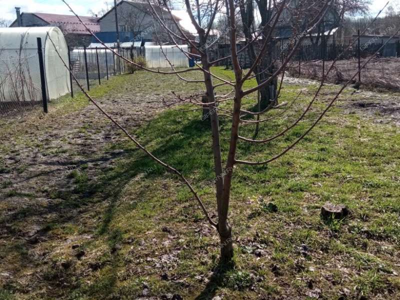 1/2 дома на улице Чванова