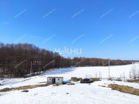 derevnya-maloe-chuhovo-gorodskoy-okrug-chkalovsk фото