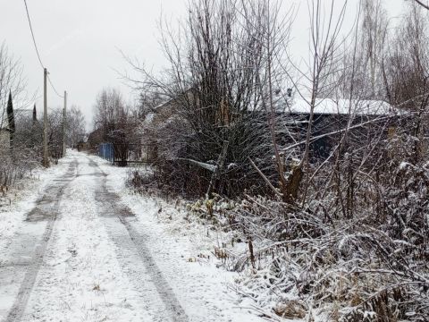 snt-sadovnik-gorodskoy-okrug-bor фото