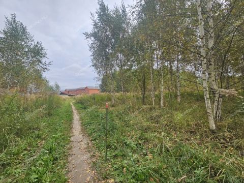 poselok-zhdanovskiy-kstovskiy-rayon фото