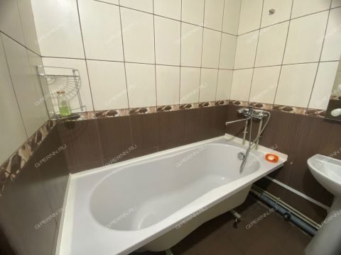 2-komnatnaya-derevnya-afonino-kstovskiy-rayon фото