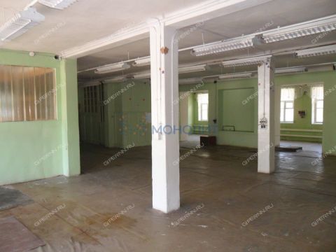 gorod-bogorodsk-bogorodskiy-municipalnyy-okrug фото