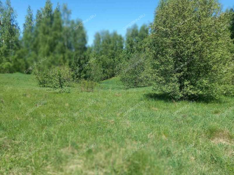 земельный участок под сельхоз назначение в Кстовском районе Нижегородской области