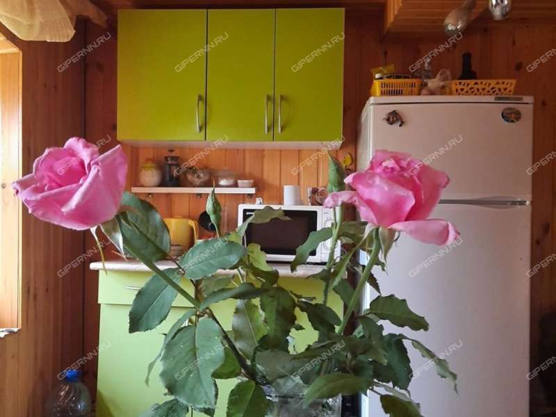 дом на Инютинской улице деревня Инютино