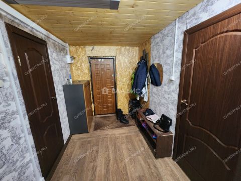 dom-selo-efimevo-bogorodskiy-municipalnyy-okrug фото