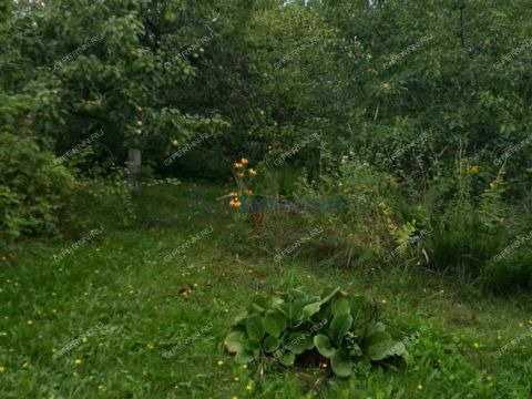 dacha-poselok-novaya-sloboda-bogorodskiy-municipalnyy-okrug фото