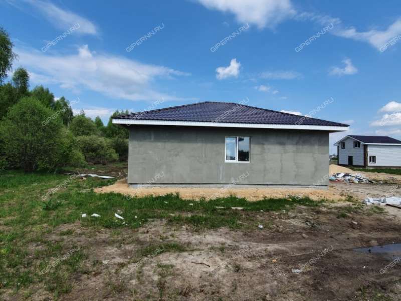 дом на Героя Демина ул. деревня Пруды