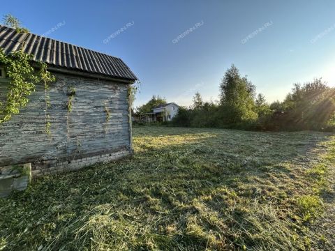 gorod-bor-gorodskoy-okrug-bor фото