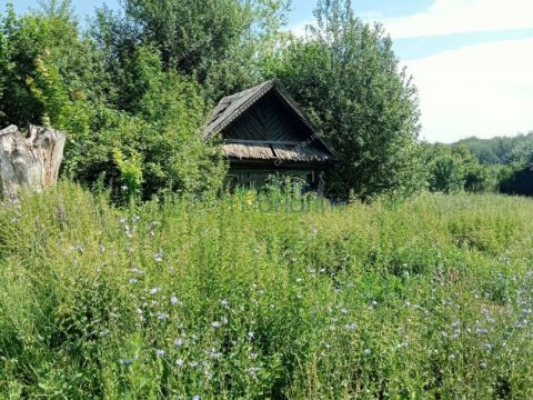 dom-derevnya-medvedkovo-perevozskiy-gorodskoy-okrug фото