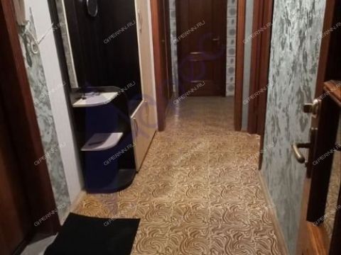 2-komnatnaya-ul-tonkinskaya-d-7 фото