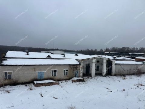 poselok-satis-diveevskiy-municipalnyy-okrug фото