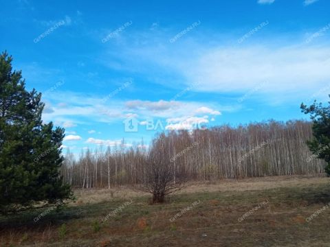 derevnya-inyutino-bogorodskiy-municipalnyy-okrug фото