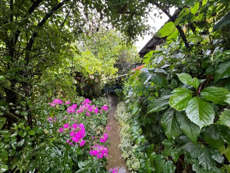 дача на СНТ № 19 Доскинец