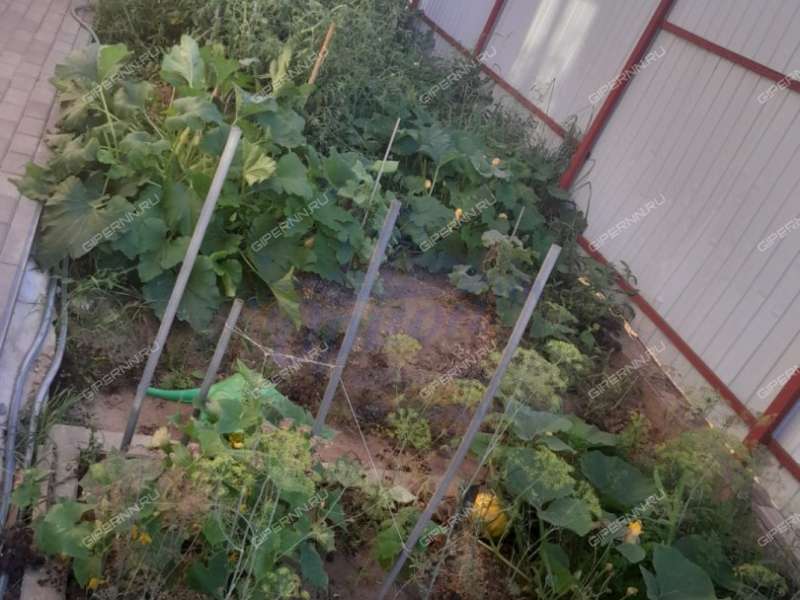 коттедж на Космическая ул. деревня Малая Ельня