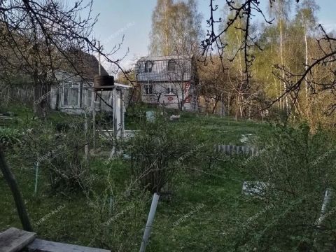 dacha-derevnya-ohotino-bogorodskiy-municipalnyy-okrug фото