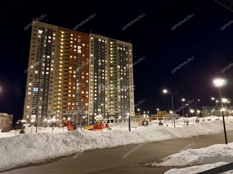 однокомнатная квартира на Русской улице улице дом 4 деревня Анкудиновка