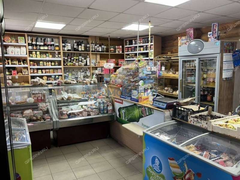 помещение под офис, торговую площадь на улице Центральная деревня Зубаниха