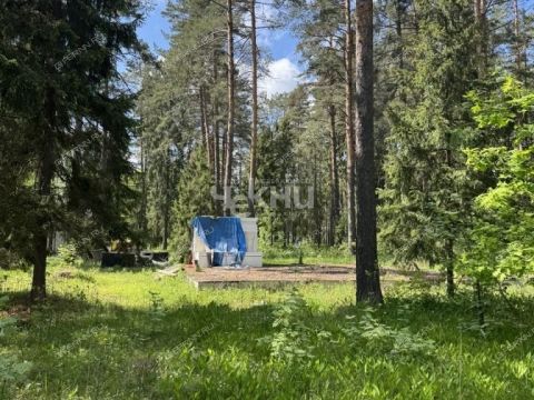 derevnya-zuevo-gorodskoy-okrug-bor фото