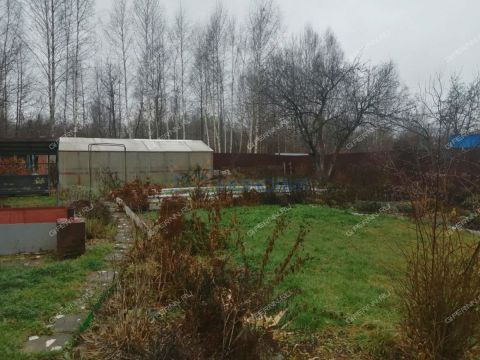 dacha-snt-vodnik-2-gorodskoy-okrug-bor фото