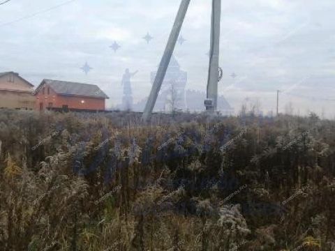 sherstnevo-gorodskoy-okrug-bor фото