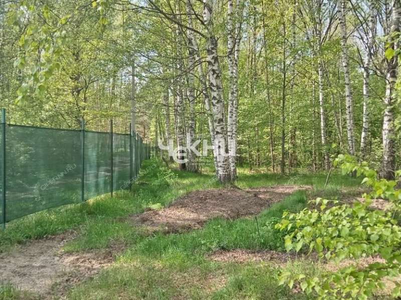 земельный участок 63 сотки деревня Дубрава