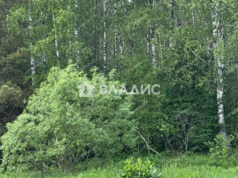 земельный участок 9,45 сотки 231 деревня Кременки
