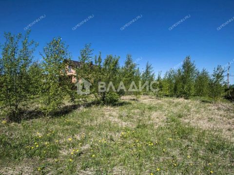 derevnya-burcevo-bogorodskiy-municipalnyy-okrug фото